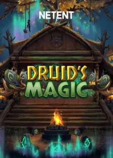 Magia dos druidas